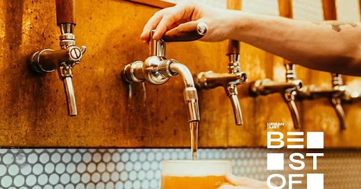 10 Of The Best Craft Beer Spots In Wellington (Updated 2026)