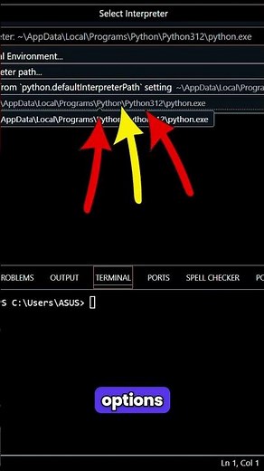 CHANGE PYTHON INTERPRETE IN VS CODE VEED