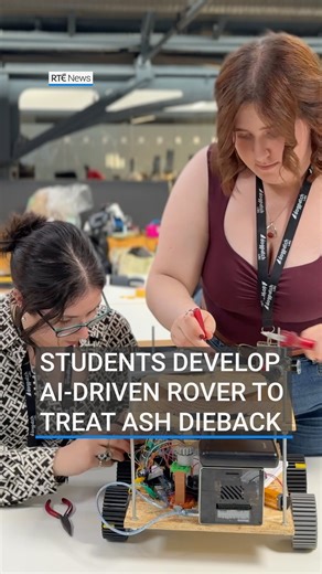 Five Irish students are developing an AI-driven rover to deliver a potential treatment for ash dieback, a serious disease that is prevalent in ash trees throughout Europe. The team have been working on a prototype as part of a Trinity College Dublin programme which aims to accelerate student startups. Tap the link in our bio for more on this story 📲 #ireland #ash #trees #ai #startup | RTÉ News