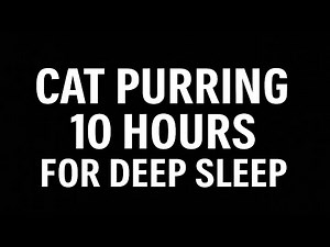 Cat Purring – 10 Hours | Black Screen | For Deep Sleep & Relaxation #catpurring #purringforsleep