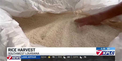 Southwest Louisiana rice farmer explains struggle with imported product