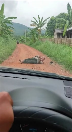 Scary, a python wrapped around an old man on the street #entertainment #biganimals #wildlifeenter...