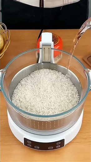 Automatic Rice Maker Cooker 🍚 Smart Kitchen Appliance #cooker