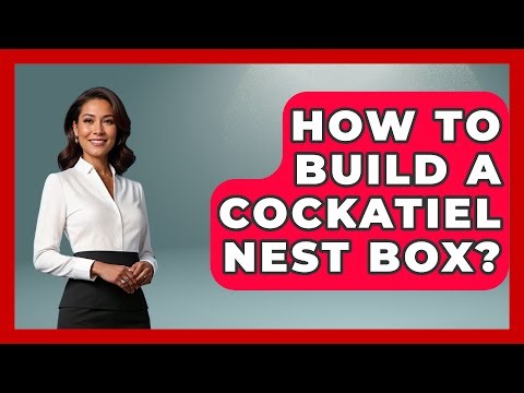 How To Build A Cockatiel Nest Box? - Bird Watching Diaries