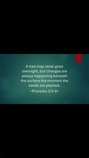 Don’t Rush the Roots