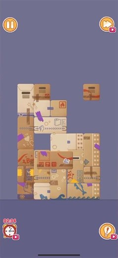 Tidy Fun – Level 145 Walkthrough | Stack Moving Boxes 📦🏠