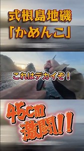式根島の地磯「かめんこ」で最高の引きと最高の時間をもらった🎣🔥#釣り#メジナ #式根島 #フカセ