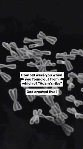 The X vs Y Chromosome Explained: Shocking Male vs Female Facts