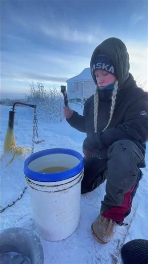 Just Alaska Stuff 🤷‍♀️