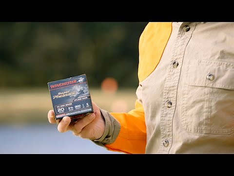 Super Pheasant | Ideal Shotshell for Upland Hunters | Winchester Ammunition