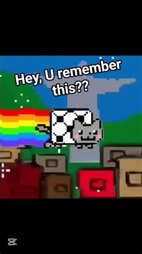 #nyancat #countryhumans #brasil