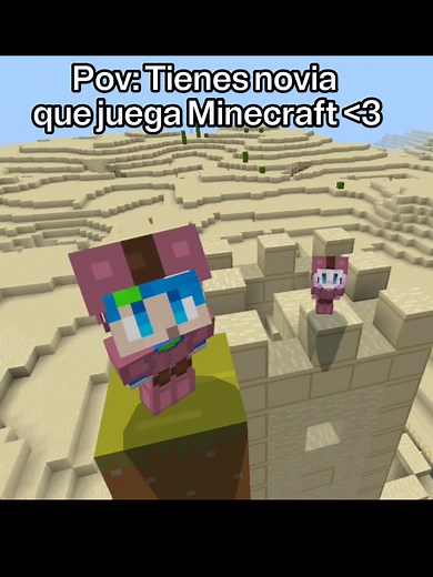 Minecraft Rapunzel Building Guide and Tips