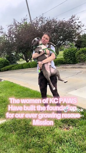 Happy #internationalwomensday ! Thank you to the strong, amazing, caring, beautiful, funny, and powerful women who have helped build the best rescue that we all love and call home ❤️ #animalrescue #animalwelfare #dogrescue #vetmedlife #notyouraverageshelter