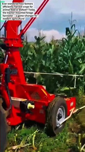 Tractor-Mounted Forage Harvester - Complete Educational Guide Boosts Agricultural Productivity"‎