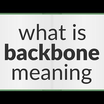 Backbone | meaning of Backbone
