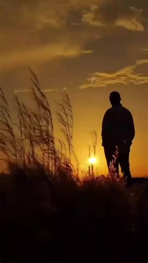 𝐀𝐑𝐀𝐅𝐀𝐓 𝐁𝐑𝐎 ☕ (@hidden.team.of)’s videos with original sound - 🍁গুরু🍁