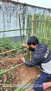 Installing a Bamboo Fence: A Villager's Day-to-Day Task 🌾🏗