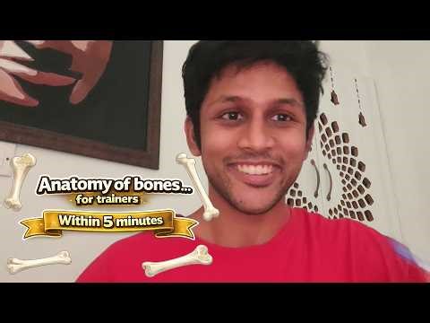 Bone Re-modeling Explained the Way I Understood It