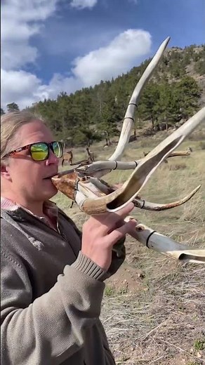 A whistle made from elk antler that evokes memories