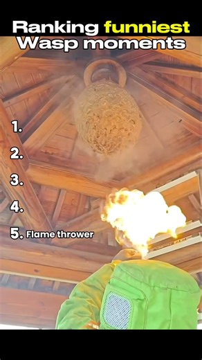 These funny wasp moments will make you laugh #fails