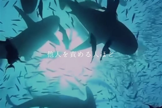 人生で行きたい国や場所ベスト