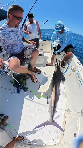 Stripe marlin fishing in Cabo San Lucas #cabosanlucas #deepseafishing #cabofishing