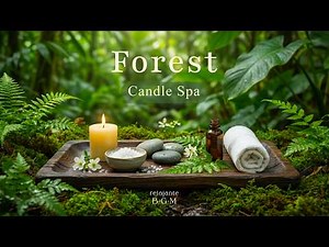 Spa Massage Music Relaxation - Relaxing Music Piano, Stress Relief Music, Meditation, Calming Music