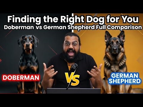 Finding the Right Dog for You | Doberman vs German Shepherd Full Comparison