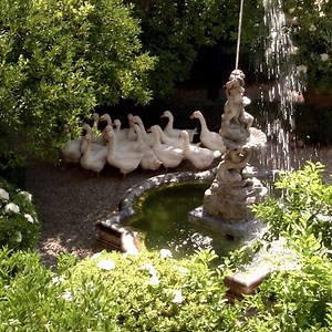 Creative Director Alessandro Michele captured on set for the shooting of the Gucci Epilogue collection. Watch the live stream now on on.gucci.com/_GucciEpilogue Bureau Veritas Italia monitored the photographic set in which animals were present, at Palazzo Sacchetti in Rome on July 17, 2020, and verify no animal was harmed. | Gucci