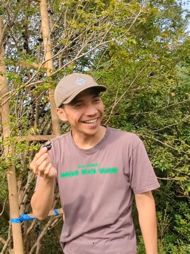 Cara menikmati Anggur Brazil Gentar Majalengka #anggurbrazil #anggurbrazilgentar #jaboticaba #buahbuahan #panenanggurbrazil