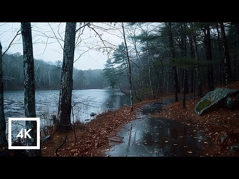 Relaxing Winter Rain Walk | Thunderstorm Sounds for Sleep & Stress Relief ASMR