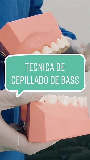 Técnica de Cepillado de Bass Modificada para Todos