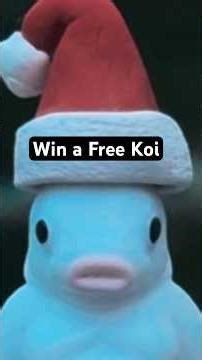 Win a free koi fish from KKA Poscast #podcast #backyardpond #koifish