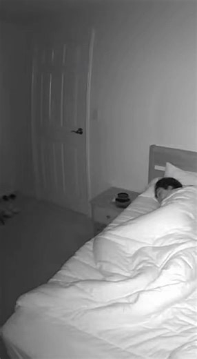 The reaction to that trombone note says it all 😳🎺 #cat#chat#dog#chien#ia#ai