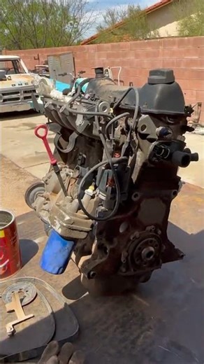 #volkswagen #automobile #racing #vw #offroad #automotive #vwbug