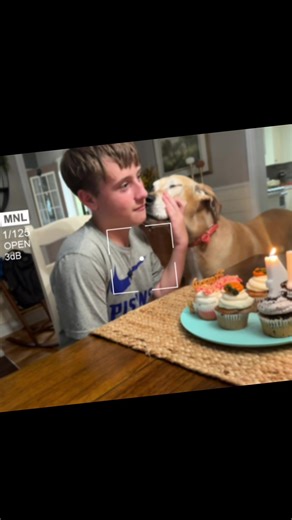 They love ❤️ #greatdane #love #BFF