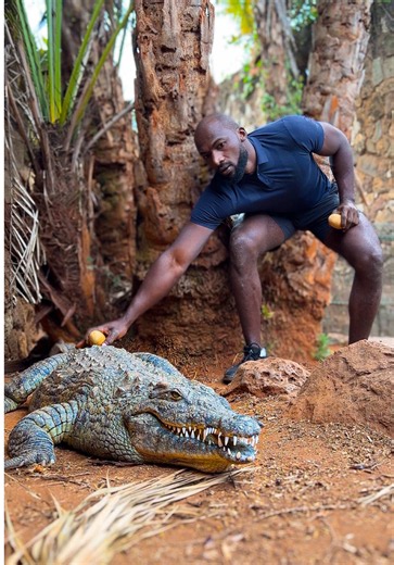 Have you ever wondered what crocodile tastes like? Let’s make the world’s first Crocodile Watermelon Fruit Salad Burger and transform ugali into an Ugali Power Chocolate Milkshake. My son wanted a crocodile burger. My daughter wanted a watermelon burger, fruit salad, and a milkshake. As a father, I did what fathers do—I made a few questionable promises and somehow found a way to keep them. #foodie #foodlover #crocodile #burger #watermelon