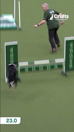 Careless Wispa is faultless and takes the win in the intermediate Novice Cup Final 🥇