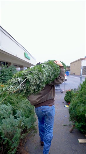 The smell of Christmas is here! 🌲✨ Our beautiful trees at Save Mart are ready to fill your home with holiday magic. Come find your perfect one! Find a tree near you and clip a $10 off coupon for Douglas Firs! ➡️ https://bit.ly/4ooMcxc | Save Mart