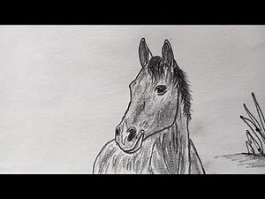 Horse sketching with pencil. Step by step guide #horsesketch