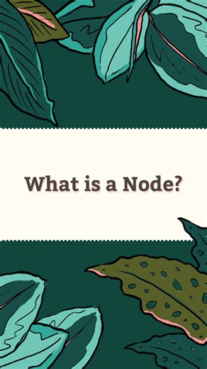 Node know-how with Dunc ✨ Ever wondered what a node is? Dunc’s got you covered; it’s the little spot that makes your plant grow big things! | The Plant Runner | Facebook