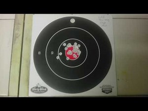 100 Yard 22LR Test out of an M&P 15-22