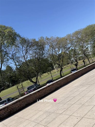 Videos de Rochi🌸✨ (@rochi1558) con “sonido original - Rochi🌸✨”