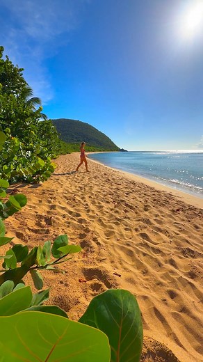 Christine & Sarah MacLean on Instagram: "After spending a week exploring this French Caribbean Archipelago, we were so impressed by the beauty, diversity, and culture of THE GUADELOUPE ISLANDS! Ad* Our top spots to visit in the @guadeloupeislands : ✨Hike to Carbet Falls (tip: do a guided tour with @maranatha.tours) ✨Take the @frs_express_des_iles Ferry to Marie-Galante to explore the pristine beaches ✨Fly in a Gyrocopter to see Grande-Terre from a birds eye view ✨Relax at Grande Anse Beach, the 