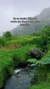 9.9K reactions · 1.4K shares | Parque Nacional Juan Castro Blanco • Pozo Verde  | La Fiebre de Viajar | Facebook