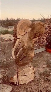 The hardest wood there is on the west coast. Can you guess? Like n sub plz