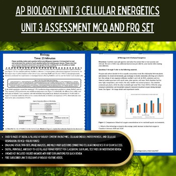 AP Biology UNIT 3 Cellular Energetics Test Assessment Exam | MCQ & FRQ   Rubric