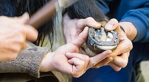 Diese Jobs warten auf Sie – im Zoo | Zoo Basel