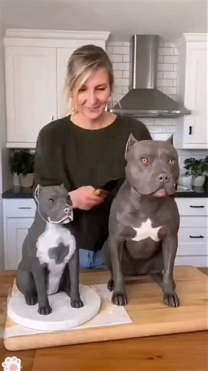 @retcedits on Instagram: "Japan is turning footsteps into electricity using piezoelectric tiles. Every step creates a small amount of energy, and millions of steps together power LED lights and digital systems-supporting a more sustainable urban future. 🌳 #Japan #FutureTechnology #RenewableEnergy #SmartCity #Innovation forestry 🌿"