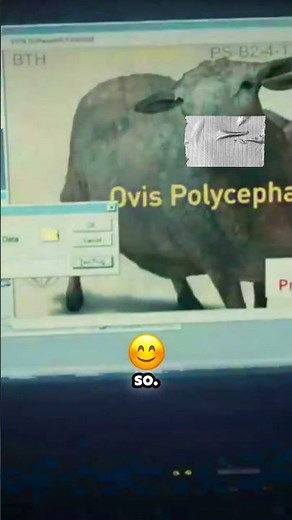 Recup Mobie 🎥 | Movie Recaps Explained